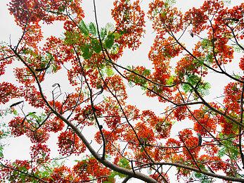 《太阳帝国的原罪2》正式公布 Epic游戏商城独占